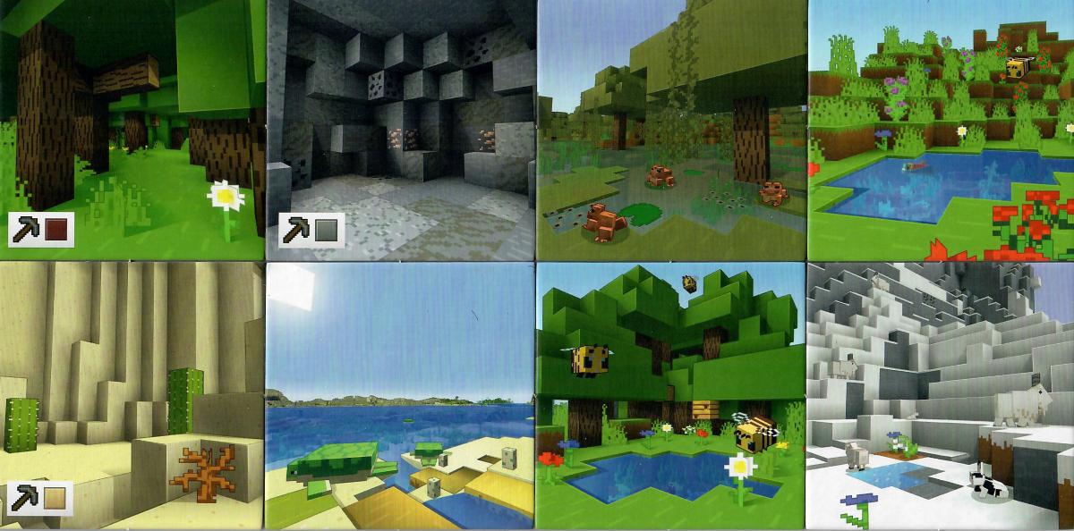 Privátní: Minecraft - Heroes of the Village - země.jpg